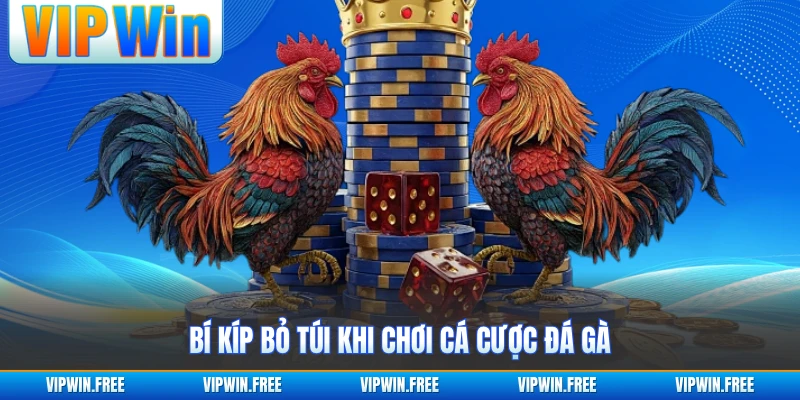 Bí kíp bỏ túi khi chơi cá cược đá gà 