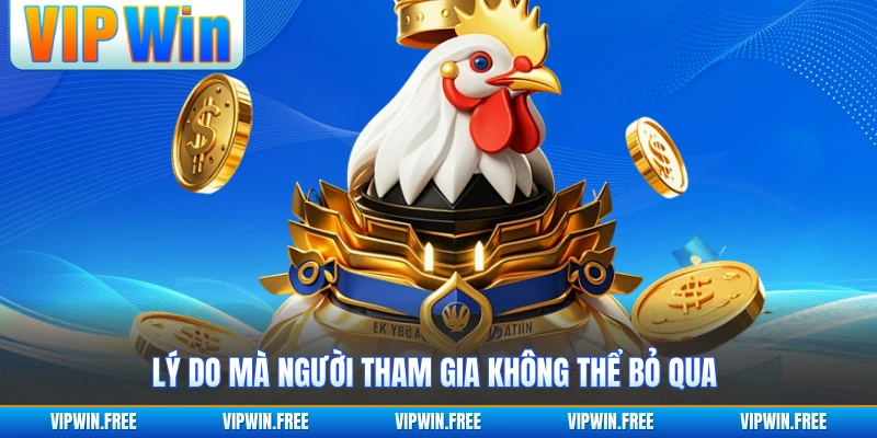Lý do mà người tham gia không thể bỏ qua 