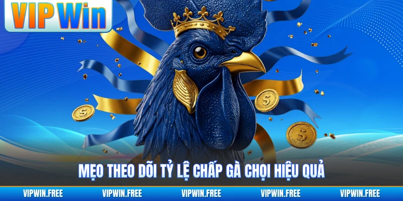 Mẹo theo dõi tỷ lệ chấp gà chọi hiệu quả 
