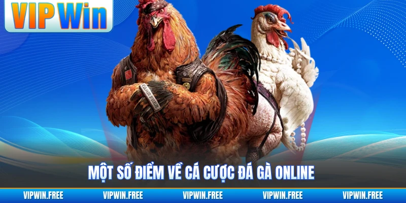 Một số điểm về cá cược đá gà online 